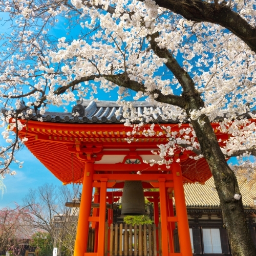 Japonya ve Kore Turları