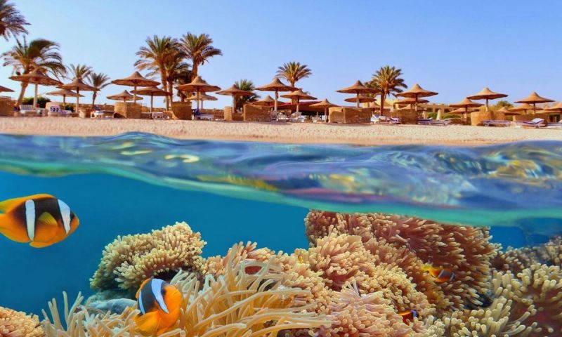 Ankara Çıkışlı Vizyon Sharm El Sheikh Çöl ve Mercanların Keşfi Turu Pegasus Havayolları ile 5 Gece
