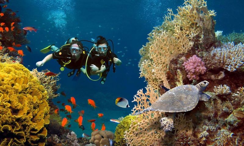 Vizyon Sharm El Sheikh – Kahire Turu | 16–21 Kasım 2026 5 Gece 6 Gün | 3 Gece Sharm El Sheikh + 2 Gece Kahire