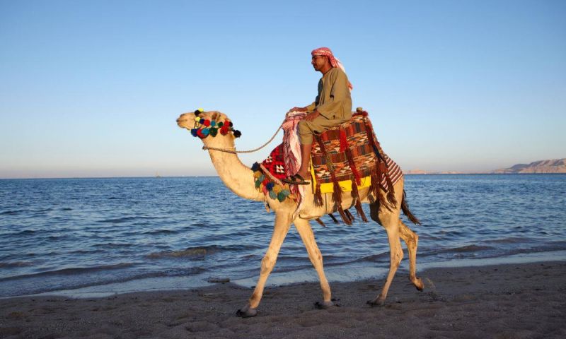 Vizyon Sharm El Sheikh – Kahire Turu | 16–21 Kasım 2026 5 Gece 6 Gün | 3 Gece Sharm El Sheikh + 2 Gece Kahire