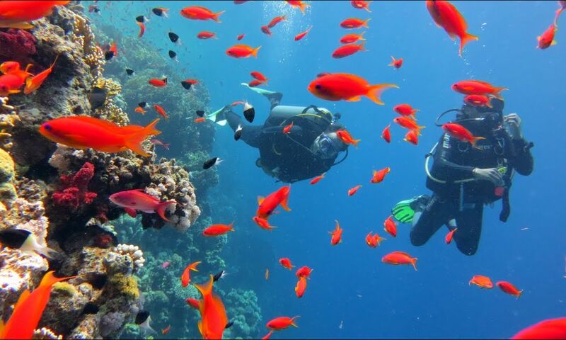 ANKARA ÇIKIŞLI ÇÖL RÜZGARLARI ANTİK MİRASLAR MISIR VE ÜRDÜN (PETRA ANTİK KENT) TURU 7 GECE 8 GÜN