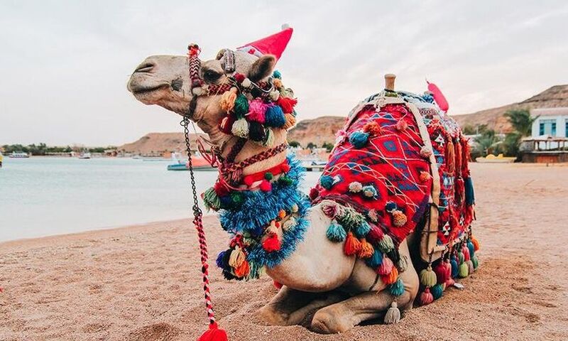 SHARM EL SEHIKH TURU 4 GECE 5 GÜN MAYIS KAMPANYASI