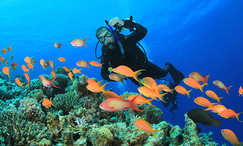 SHARM EL SHEIKH VE PİRAMİTLER TURU 6 GECE 7 GÜN