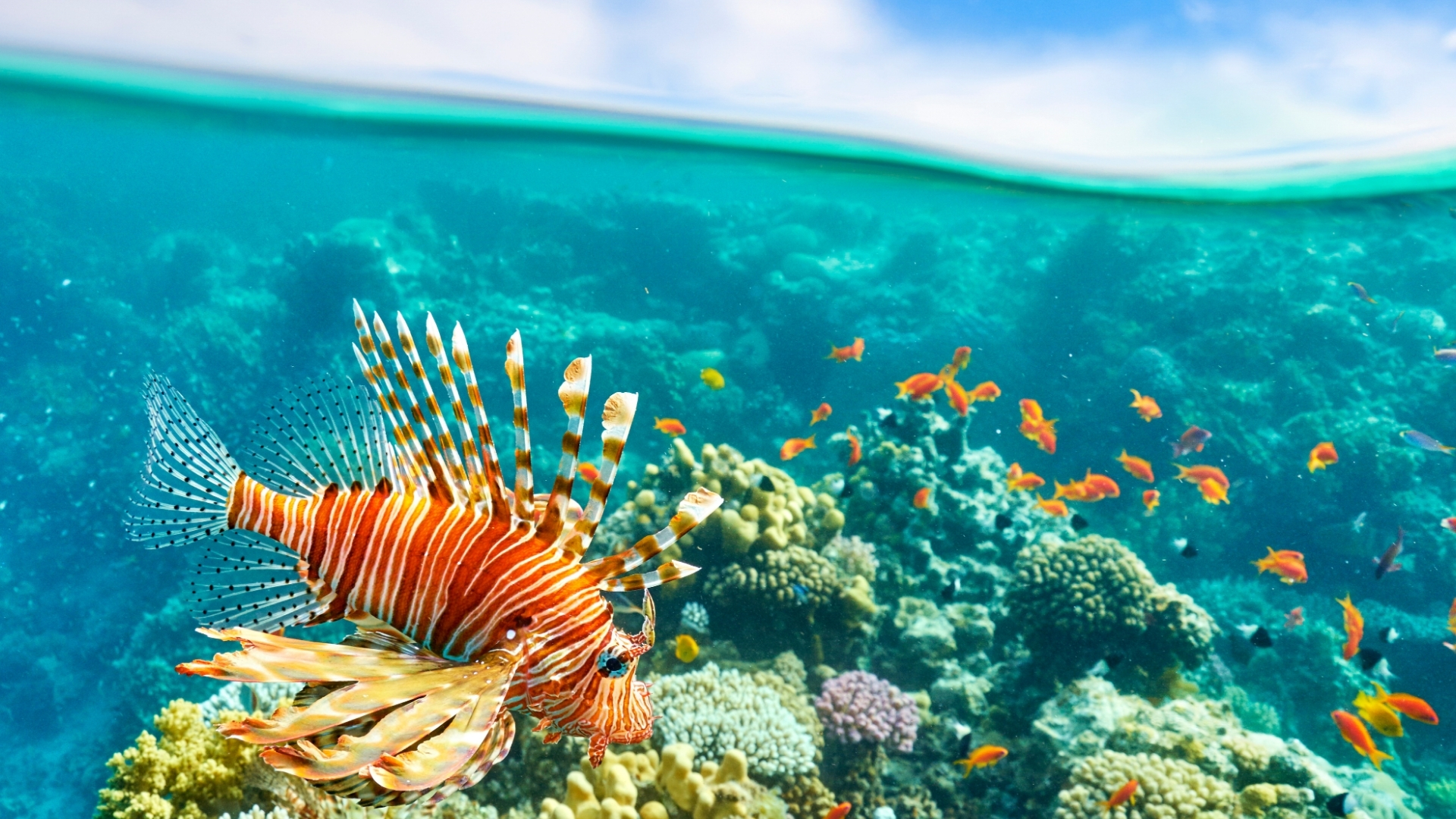 RT014 Vizyon Sharm El Sheikh Çöl ve Mercanların Keşfi Turu AJet Havayolları ile Ekstra Turlar ve Çevre Gezileri Dahil 4 Gece Konaklamalı