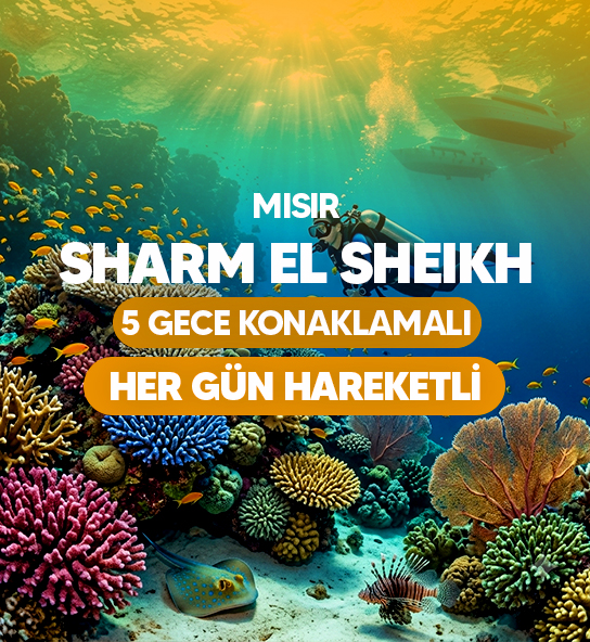 Vizyon Sharm El Sheikh Çöl ve Mercanların Keşfi Turu Pegasus Havayolları ile 5 Gece