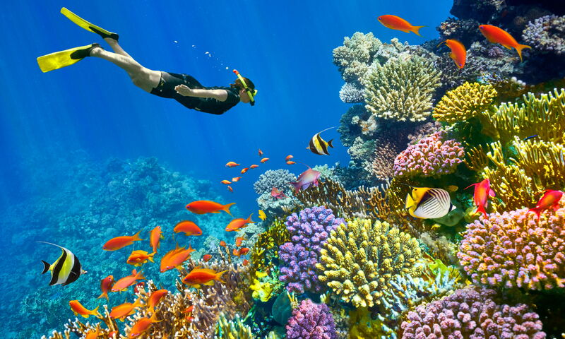 RT002 - Ramazan Bayramı Özel Ankara Hareketli Vizyon Sharm El Sheikh Turu FreeBird Havayolları ile 3 Gece 4 Gün Tüm Ekstra Turlar Dahil