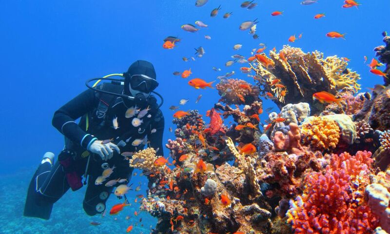 RT006 Kurban Bayramı Özel Vizyon Sharm El Sheikh Turu Ajet Havayolları ile 3 Gece 4 Gün