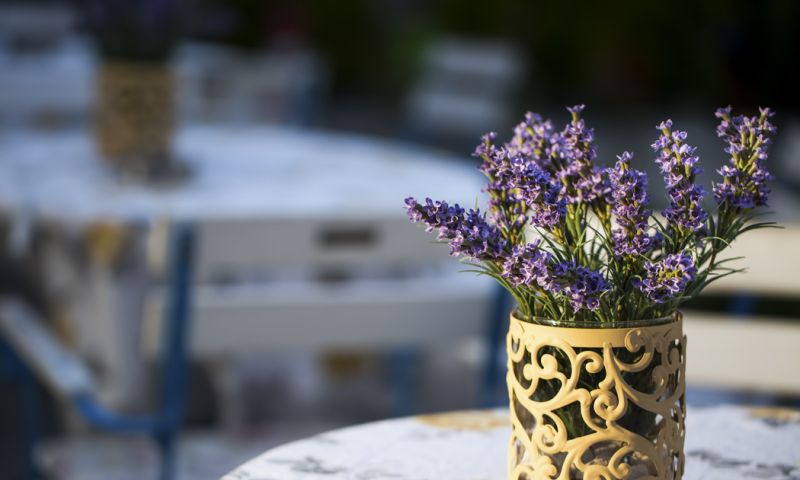 Alaçatı Ot Festivali Turu