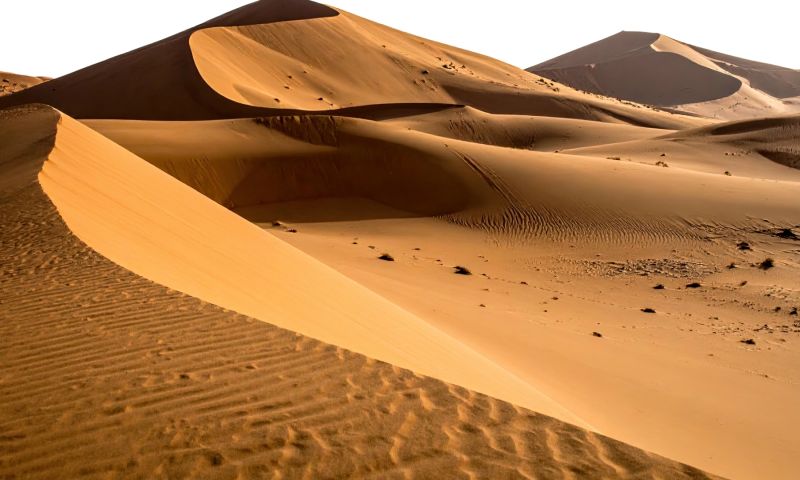 Vizyon Sharm El Sheikh Çöl ve Mercanların Keşfi Turu Pegasus Havayolları ile 3 Gece